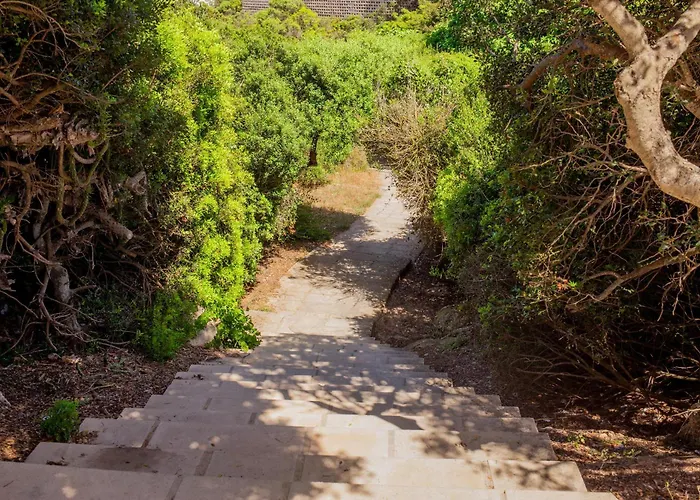 Elfa בית נופש